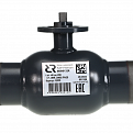 065N0187GR RJIP Premium Кран шаровой WW DN600 PN25 GF (приварной, под привод, С/П), Ридан